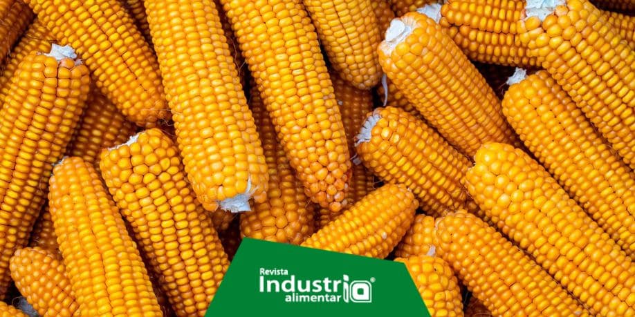 Importaciones de maíz amarillo duro por parte de Perú crecen en valor  %, pero caen en volumen % entre enero y mayo