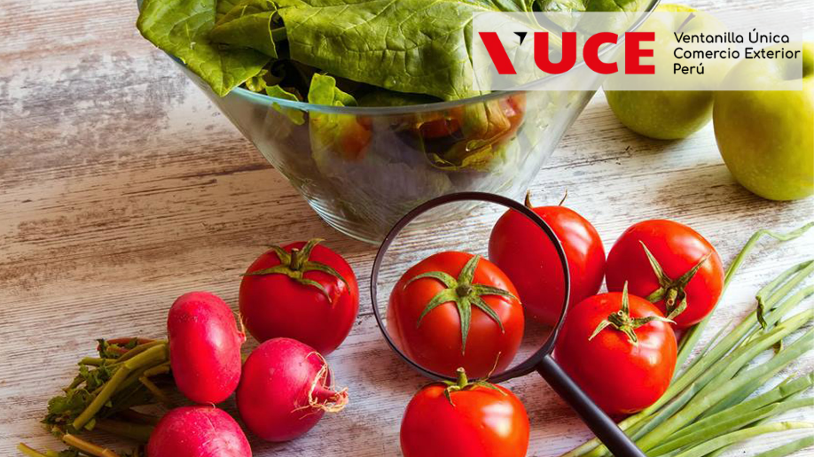 VUCE activa sistema para reforzar la inocuidad alimentaria Revista Industria Alimentaria VUCE activa sistema para reforzar la inocuidad alimentaria Revista Industria Alimentaria