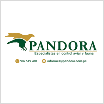 PANDORA CORP S.A.C.